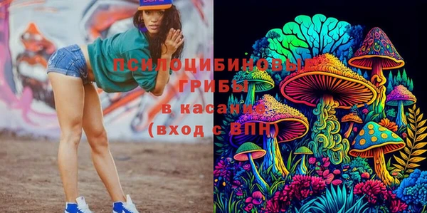 твердый Сатка