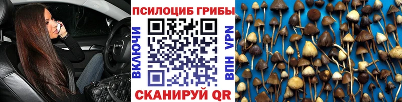 купить наркоту  Подпорожье  Псилоцибиновые грибы прущие грибы 